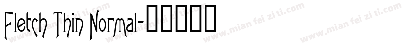 Fletch Thin Normal字体转换